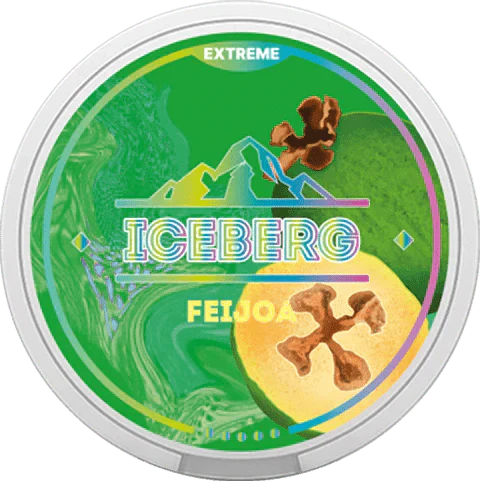 Iceberg Snus 16gr 150mg Pouches - Pack of 10 - Feijoa - vapeukwholesale